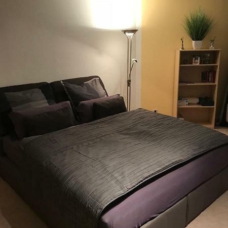 דרזדן Kleine Wohnung Im Gruenen מראה חיצוני תמונה