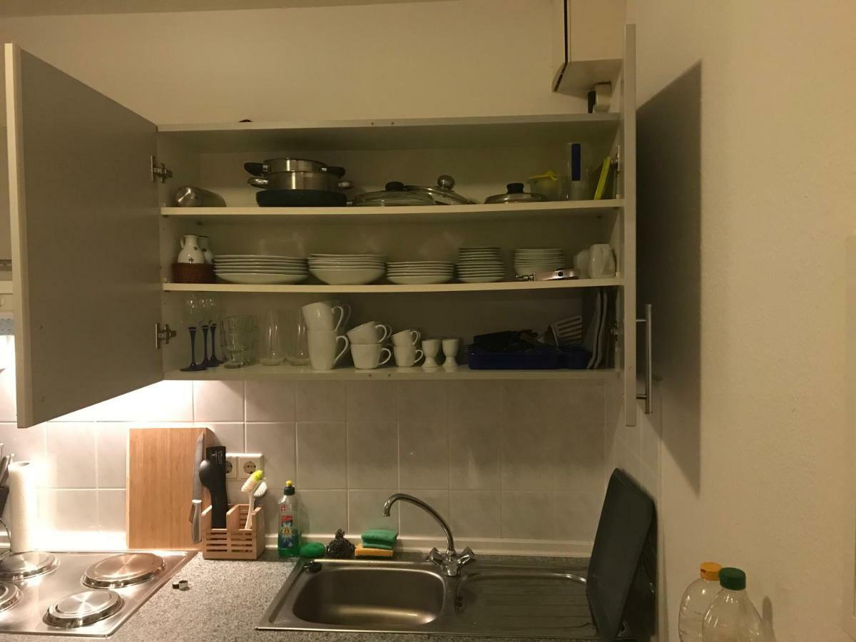 דרזדן Kleine Wohnung Im Gruenen מראה חיצוני תמונה