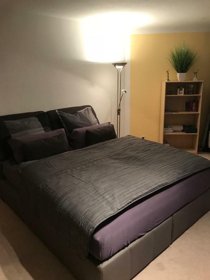 דרזדן Kleine Wohnung Im Gruenen מראה חיצוני תמונה